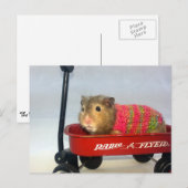 Baloo gaat naar een Wagon Ride Briefkaart (Voorkant / Achterkant)