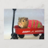 Baloo gaat naar een Wagon Ride Briefkaart (Voorkant)