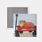 Baloo in zijn rode wagen magneet (Voorkant / Achterkant)