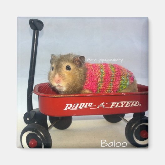Baloo in zijn rode wagen magneet (Voorkant)