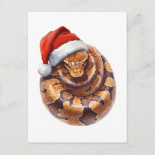 Balpython in Kerstmuts Aquarel Feestdagenkaart