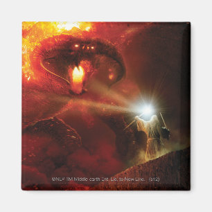 Balrog Versus GANDALF™ Magneet