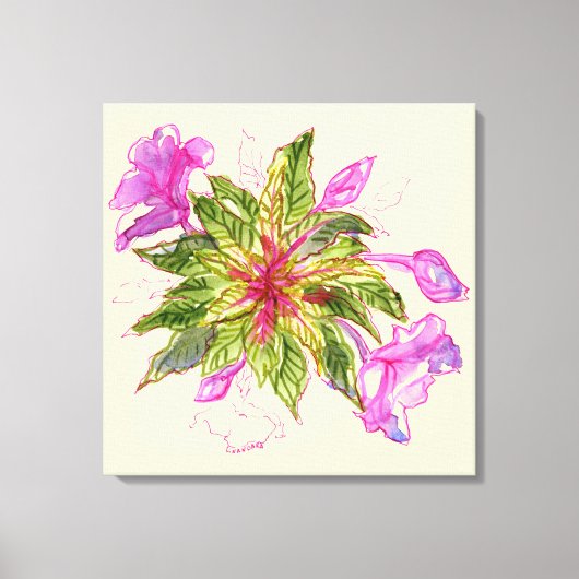 Balsam Bouquet Canvas Afdruk (Voorkant)