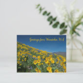 Balsamroot Bloom bij Sage Hills Wenatchee, WA Briefkaart (Staand voorkant)