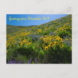 Balsamroot en Lupine in Sage Hills Wenatchee, WA Briefkaart