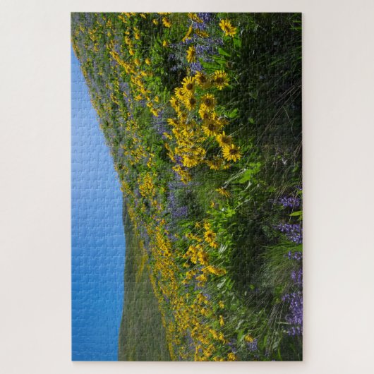 Balsamroot en Lupine in Sage Hills Wenatchee, WA Legpuzzel (Verticaal)