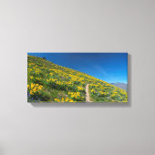 Balsamroot Spring Bloom Canvas Afdruk (Voorkant)