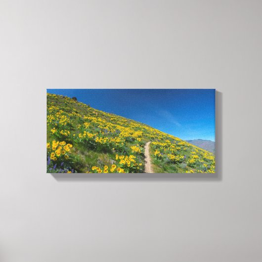 Balsamroot Spring Bloom Canvas Afdruk (Voorkant)