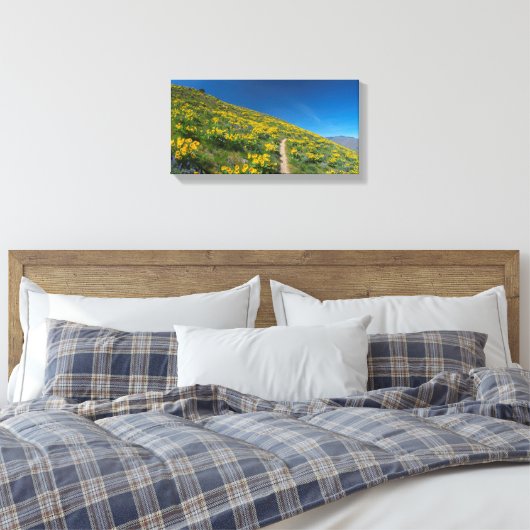 Balsamroot Spring Bloom Canvas Afdruk (Insitu (Slaapkamer))