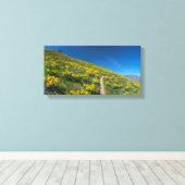 Balsamroot Spring Bloom Canvas Afdruk (Insitu (Houten vloer))