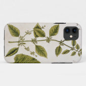 Balsem, plaat 27 uit 'A Curious Herbal', gepublice Case-Mate iPhone Case (Achterkant (horizontaal))