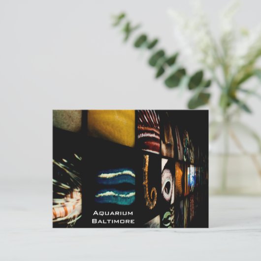 Baltimore Aquarium Briefkaart (Staand voorkant)