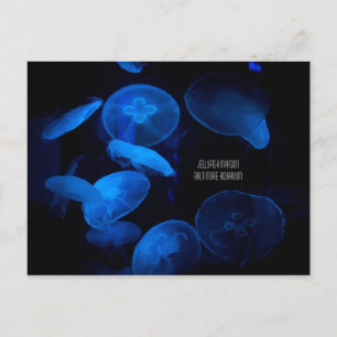 Baltimore Aquarium - Jellyfish Invasion Briefkaart