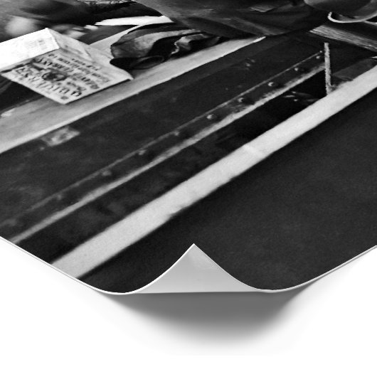 Baltimore Banana Boats Poster (Hoek)