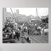 Baltimore Banana Boats Poster (Voorkant)