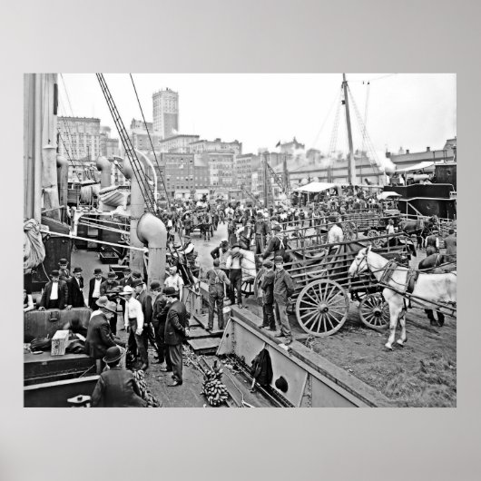 Baltimore Banana Boats Poster (Voorkant)