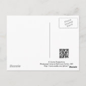 Baltimore, Briefkaart Maryland (Achterkant)