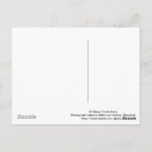 Baltimore, Briefkaart Maryland (Achterkant)