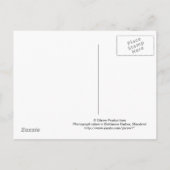 Baltimore, Briefkaart Maryland (Achterkant)