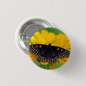 Baltimore Carspotvlinder Ronde Button 3,2 Cm (Voorkant /achterkant)