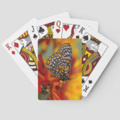 Baltimore-checkButterfly Pokerkaarten (Achterkant)