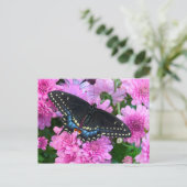 Baltimore Checkered Butterfly Briefkaart (Staand voorkant)