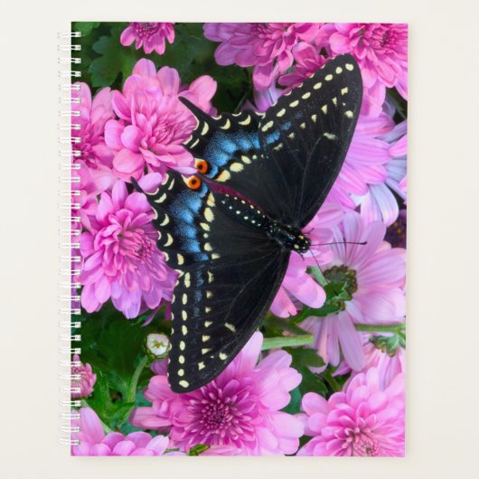 Baltimore Checkered Butterfly Planner (Voorkant)