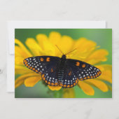 Baltimore Checkered Spot Butterfly Bedankkaart (Voorkant)
