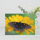 Baltimore Checkered Spot Butterfly Bedankkaart (Staand voorkant)