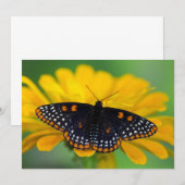 Baltimore Checkered Spot Butterfly Bedankkaart (Voorkant / Achterkant)