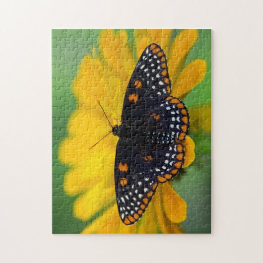 Baltimore Checkered Spot Butterfly Legpuzzel (Verticaal)