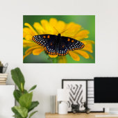 Baltimore Checkered Spot Butterfly Poster (Thuiskantoor)