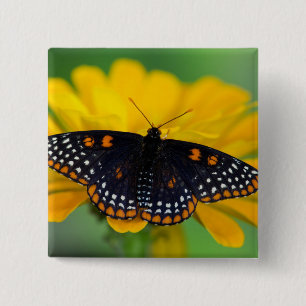 Baltimore Checkered Spot Vlinder Vierkante Button 5,1 Cm