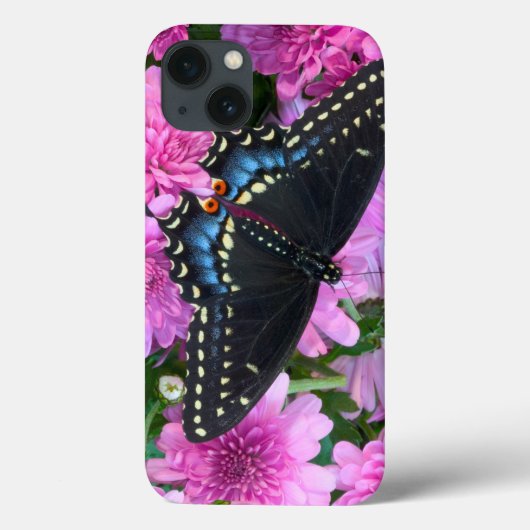 Baltimore Checkered Vlinder Case-Mate iPhone Case (Achterkant)