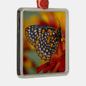 Baltimore-Checkered Vlinder Metalen Ornament (Rechts)
