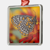 Baltimore-Checkered Vlinder Metalen Ornament (Links)