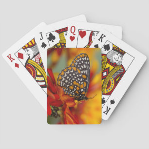 Baltimore-Checkered Vlinder Pokerkaarten
