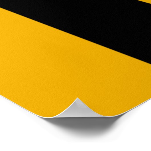 Baltimore Flag Poster (Hoek)