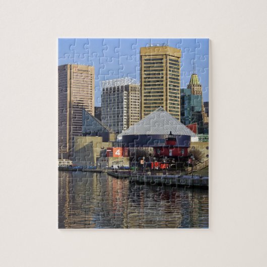 Baltimore Inner Harbour Legpuzzel (Verticaal)