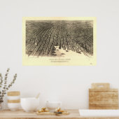 Baltimore Maryland 1912 Antiek Panoramic Map Poster (Keuken)