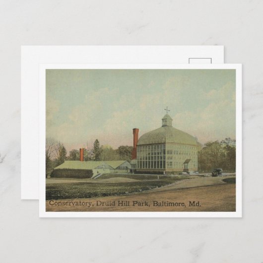 Baltimore MD Druid Hill Park Conservatorium 1910 Briefkaart (Voorkant / Achterkant)