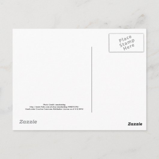 Baltimore MD Skyline met Baltimore in Sky Briefkaart (Achterkant)