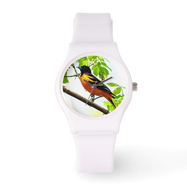 Baltimore Oriole 1 Horloge & Numeral Opties (Voorkant)