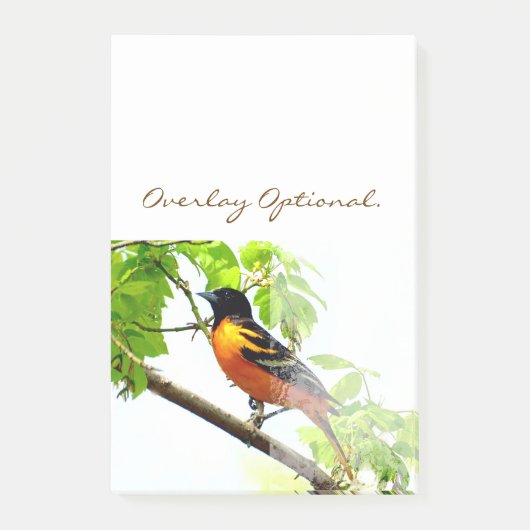 Baltimore Oriole 1 Post-it® Notes (Voorkant)