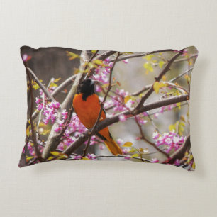 Baltimore Oriole Accent Kussen