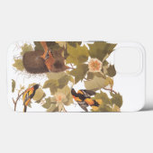 Baltimore Oriole Audubon Bird Family met Nest Case-Mate iPhone Case (Achterkant (horizontaal))