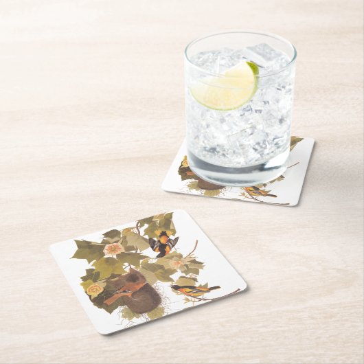 Baltimore Oriole Audubon Bird Family met Nest Kartonnen Onderzetters (Insitu)