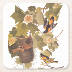 Baltimore Oriole Audubon Bird Family met Nest Kartonnen Onderzetters