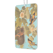 Baltimore Oriole Audubon Bird Family met Nest Luchtverfrisser (Links)