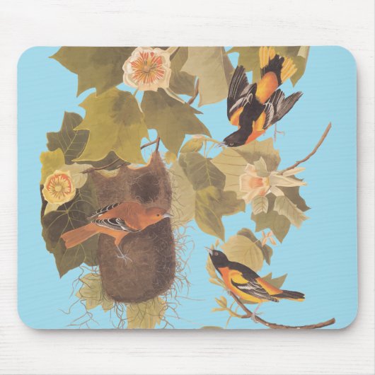 Baltimore Oriole Audubon Bird Family met Nest Muismat (Voorkant)